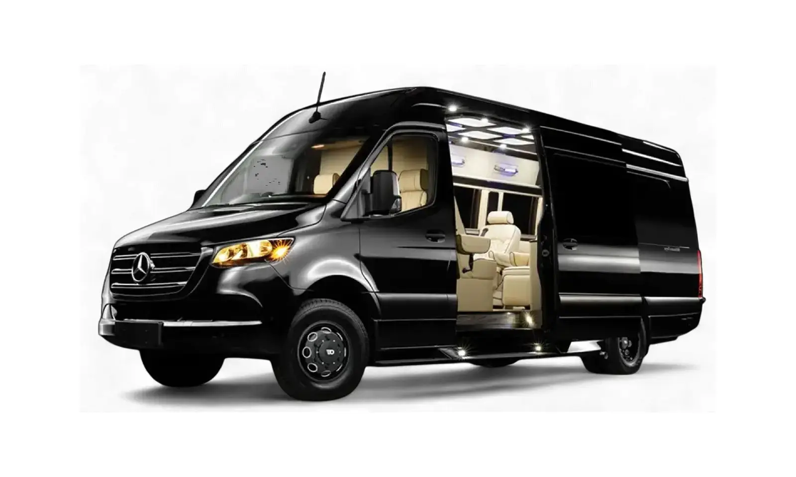 Executive Sprinter Van 11-14 Passenges