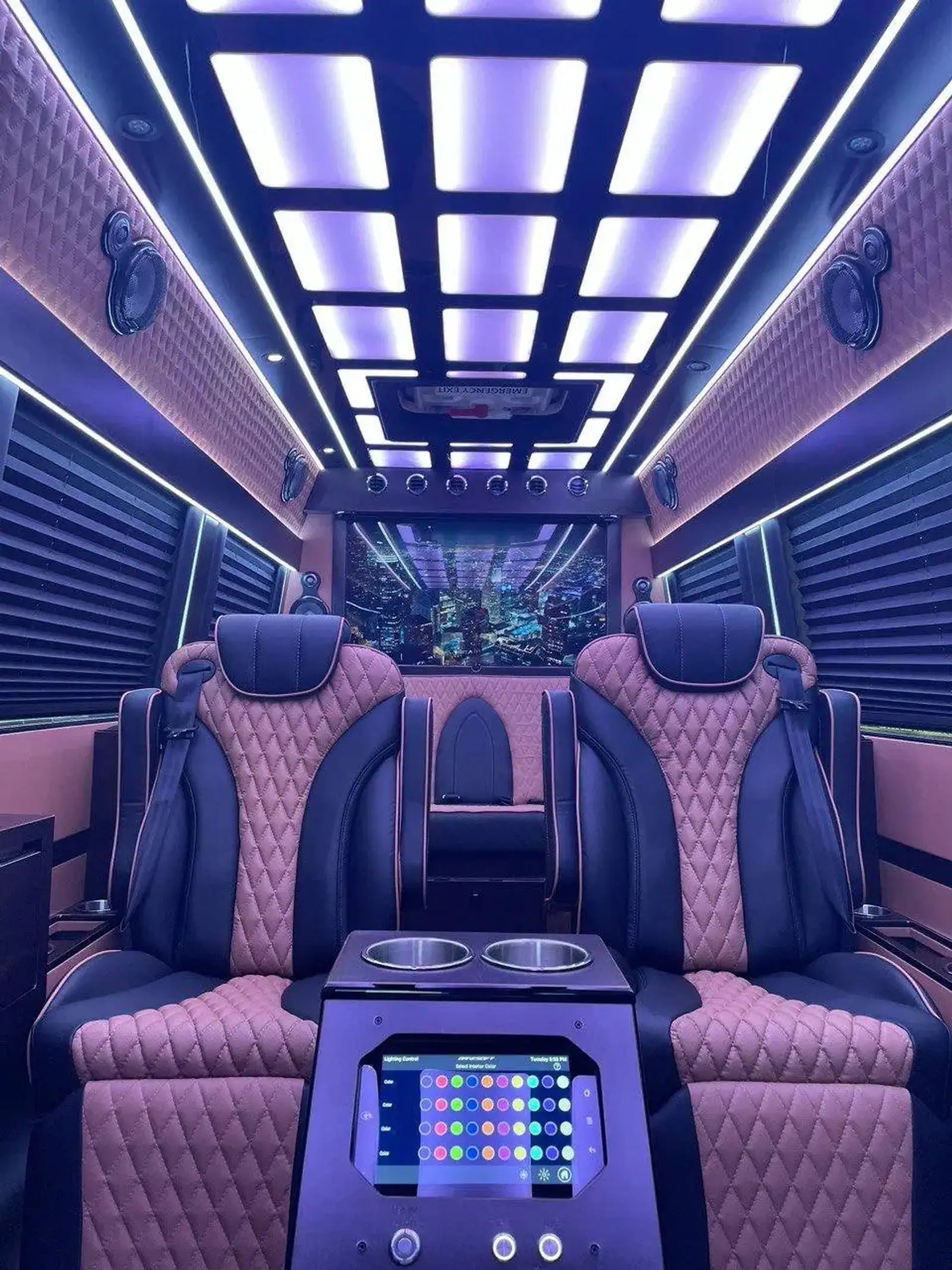 Executive Sprinter Van 11-14 Passenges photo 4