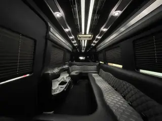 Sprinter Limo 11-14 Passengers, photo 3