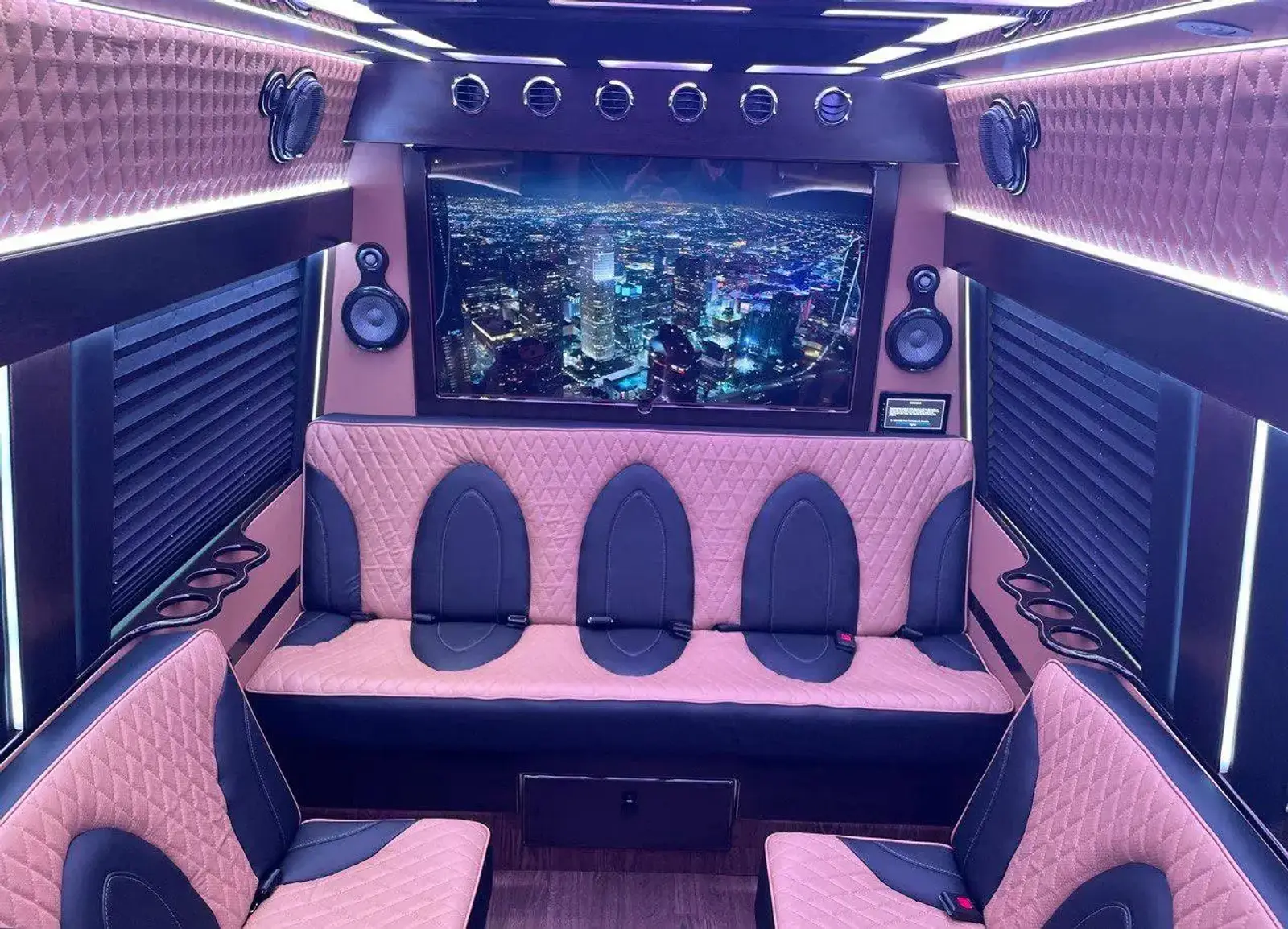 Executive Sprinter Van 11-14 Passenges photo 6