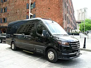 Sprinter Limo 11-14 Passengers, photo 8