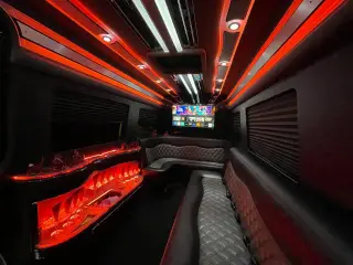 Sprinter Limo 11-14 Passengers, photo 5
