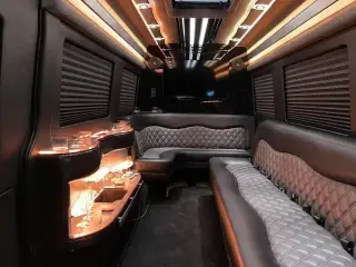 Sprinter Limo 11-14 Passengers, photo 2