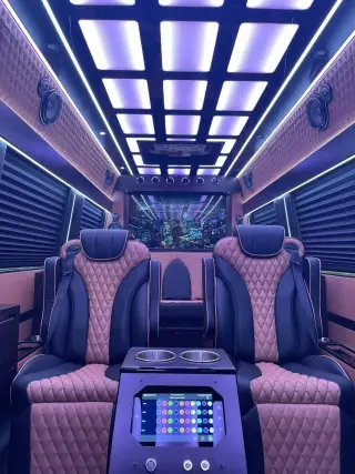 Executive Sprinter Van 11-14 Passenges, photo 4