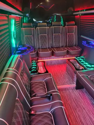 Sprinter Limo 11-14 Passengers, photo 7